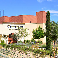Factory & Museum Visit