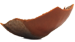 1980 - Karité n°5