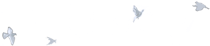 1992 - Oiseaux