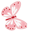 1997 - Papillon