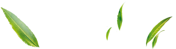 1999 - Plante multiple