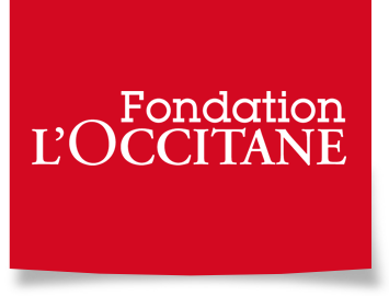 2006 - Logo Fondation