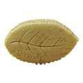 Verbena Leaf Soap