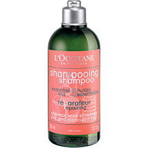 Shampooing Réparateur Cheveux Secs et Abîmés