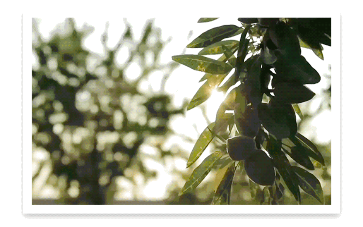 Bienvenue en Provence, vous faites désormais partie de nos abonnés privilégiés. Profitez d'offres exclusives, d'astuces, de conseils beauté professionnels et de bons plans tout au long de l'année. 