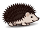 Nol