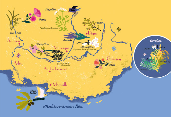 Our Ingredients Map