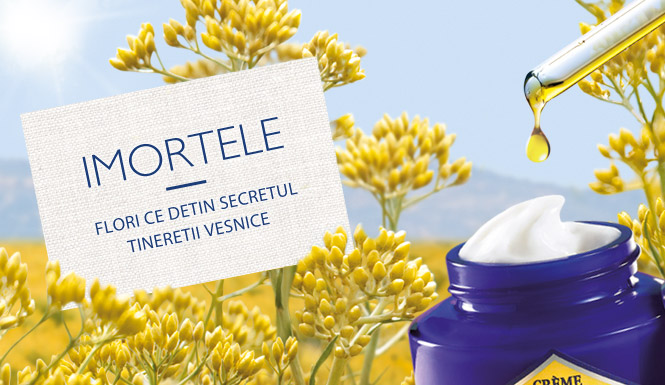 Imortele Flori ce detin secretul tineretii vesnice