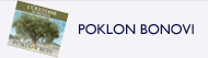 BannerFooter4