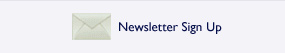 footer_newsletter