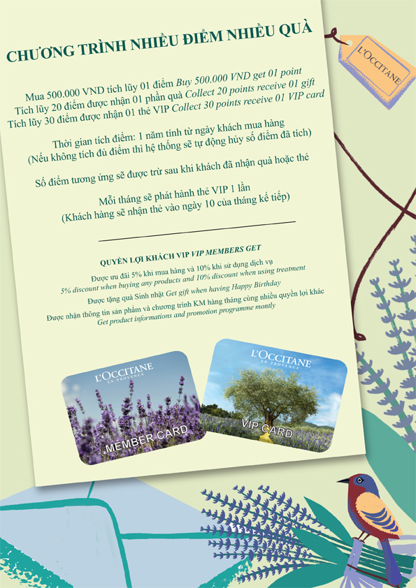 card vn