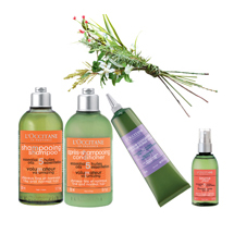 Bộ Aromachologie tổng hợp 5 tinh dầu