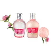 Bộ Pivoine Flora 