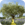 Application L'Occitane