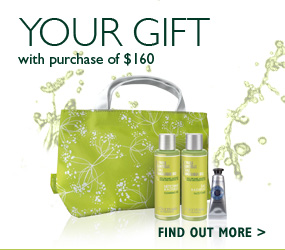 Your Gift