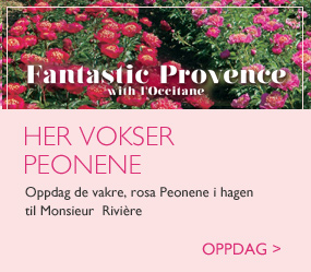 Her vokser peonene