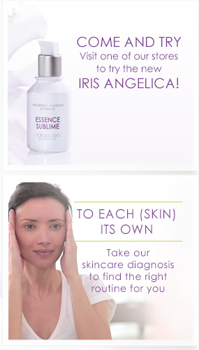 Iris Angelica right eng