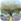 iPhone app
