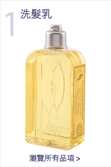 supercat_haircare_bottom1_v1_ch