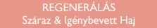 Middle2_Haj&aacute;pol&aacute;s_regener&aacute;l&aacute;s