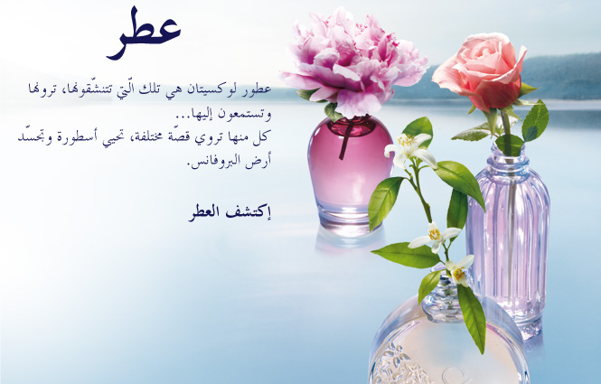 supercat_fragrance_top_ME-AR