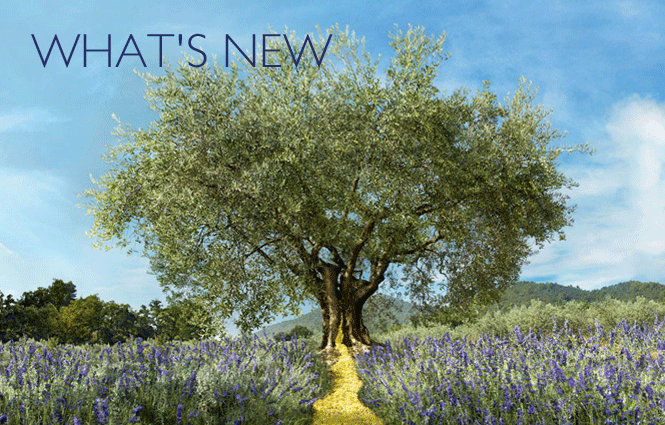 What'sNew_EN_top