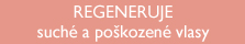 middle2_CZ_2