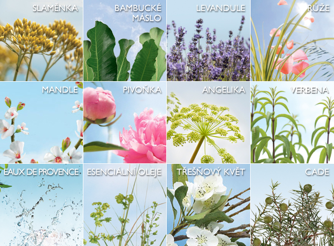 ingredient_top_CZ 