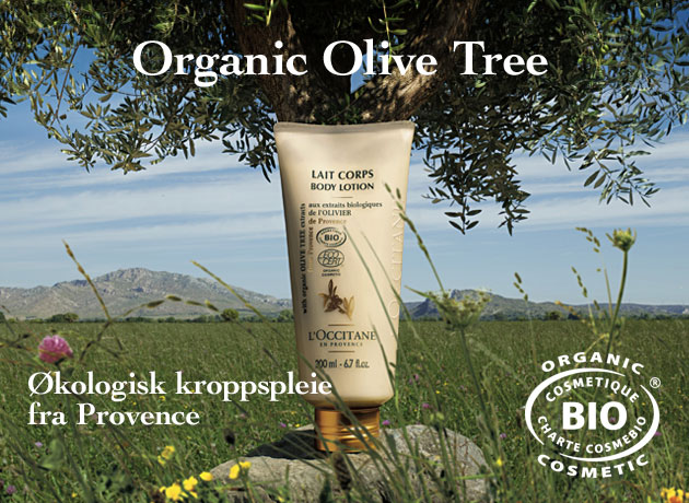 oliven front