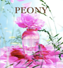 Peony h&oslash;yre