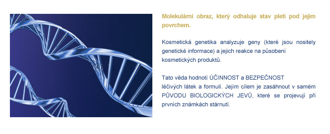 výzkum