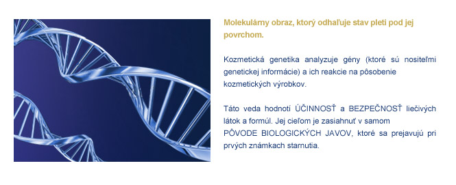 výskum