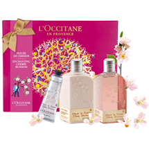 Enchanting Cherry Blossom