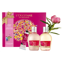 Delightful Pivoine Flora