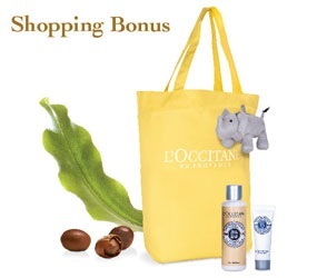 Shopping Bonus
