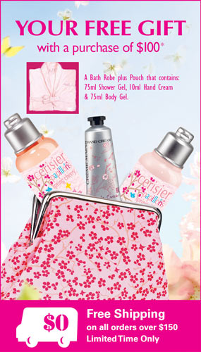 FREE GIFT when you spend $100