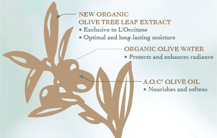 Olive Map