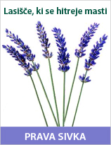 HC_LavenderSLO