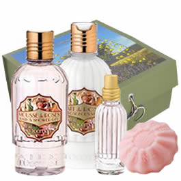 Rose Velvet Seduction Gift Box