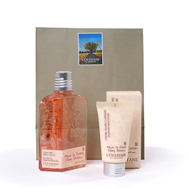 Cherry Blossom Shower Gel & Hand Cream Set