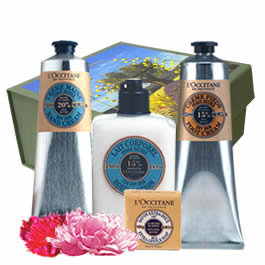 L'Occitane Shea Butter