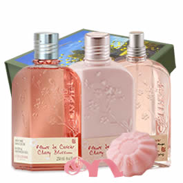 Cherry Blossom Floral Delights