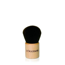 Blush Brush<span class='productImages'>