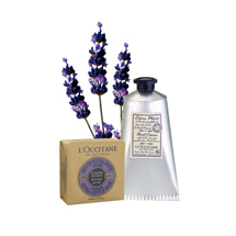 Delicious Lavender 