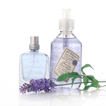 Kit Lavanda Casa<span class='productImages'>