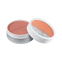 Taffetas Cuivré Face Color Powder<span class='productImages'>