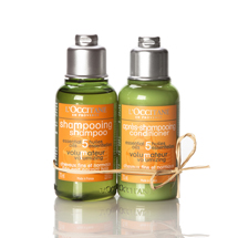 Duo Viagem Aromacologia Volume