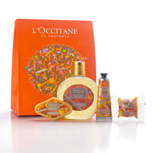 Kit Délice des Fruits