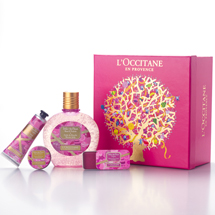 Kit Délice des Fleurs