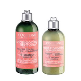 Repairing Hair Care Duo